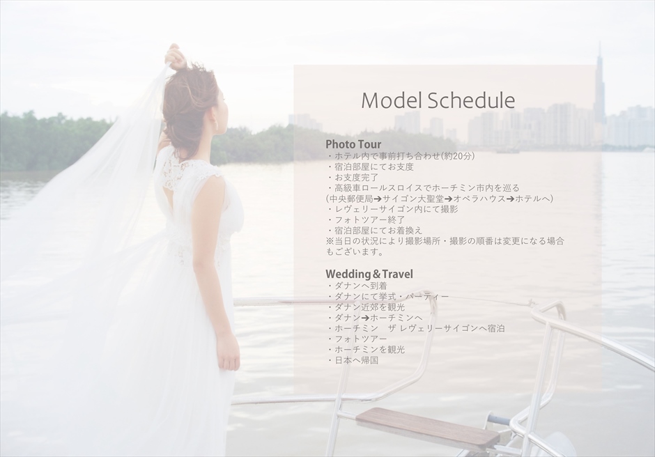 Model Schedule